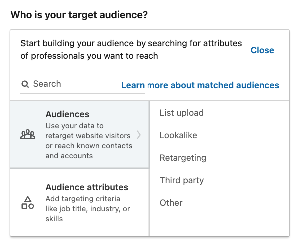 audience LinkedIn ads