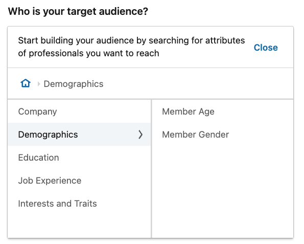 LinkedIn ad demographic targeting