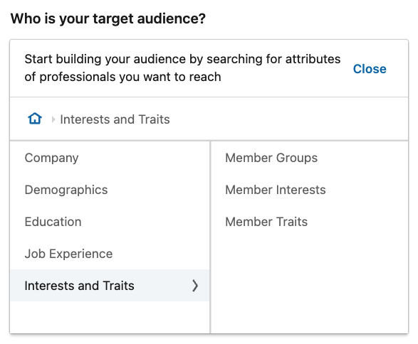 LinkedIn interest audience